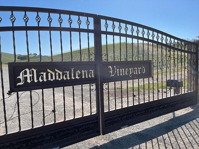 Maddalena Vineyard gate